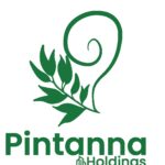 Pintanna Holdings logo