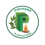 Pintanna plantations logo